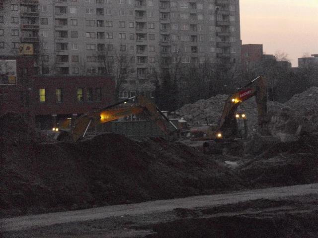 DSCI1423.JPG