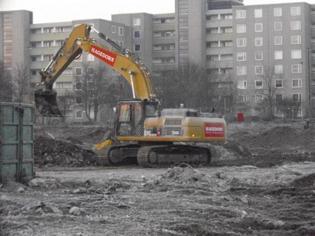 DSCI1442.JPG