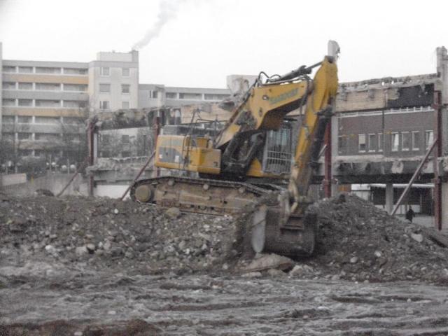 DSCI1444.JPG
