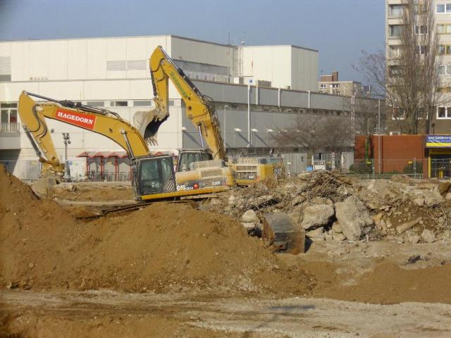 DSCI1459.JPG
