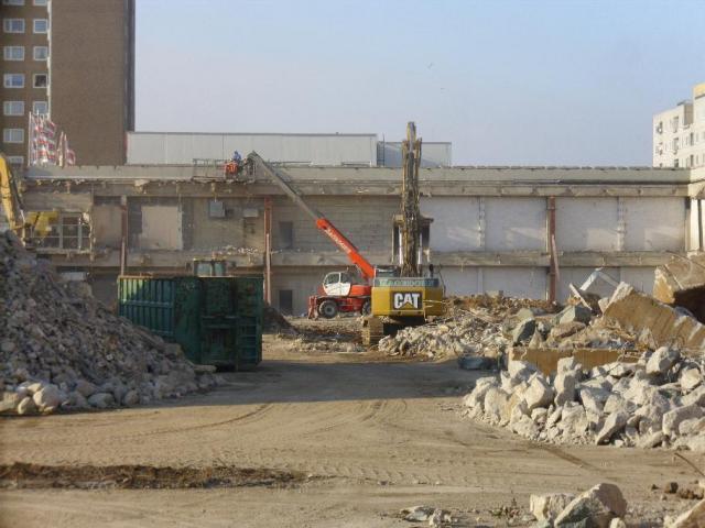 DSCI1463.JPG