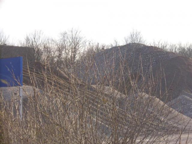 DSCI1474.JPG
