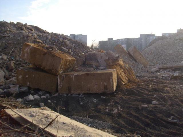 DSCI1496.JPG