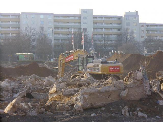 DSCI1497.JPG
