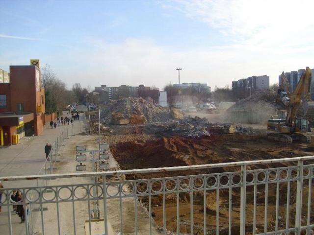 DSCI1524.JPG