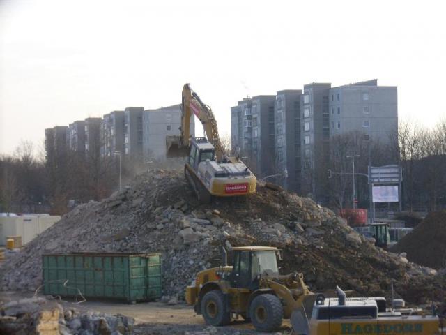 DSCI1529.JPG