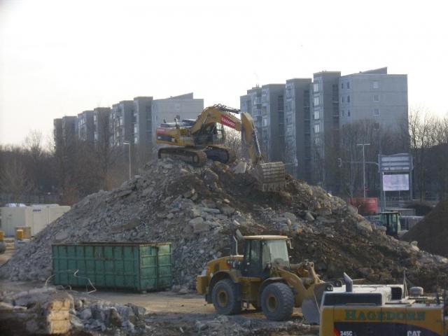 DSCI1533.JPG