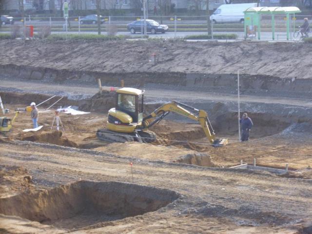 DSCI1545.JPG