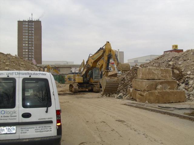 DSCI1569.JPG
