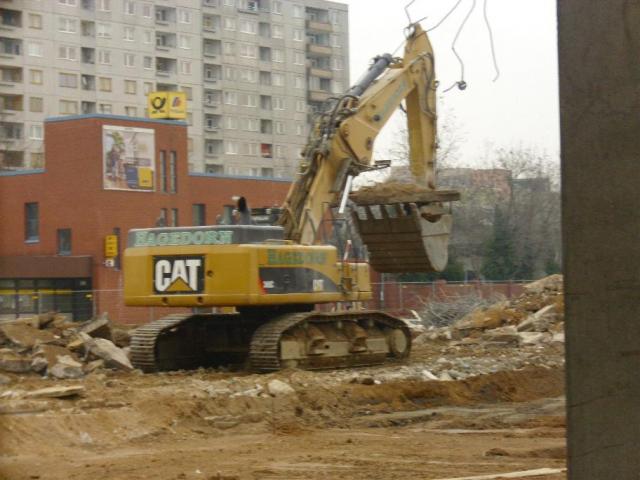 DSCI1631.JPG