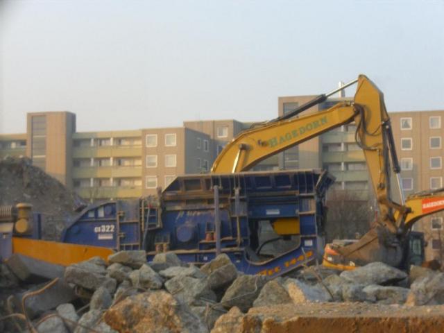 DSCI2247.JPG