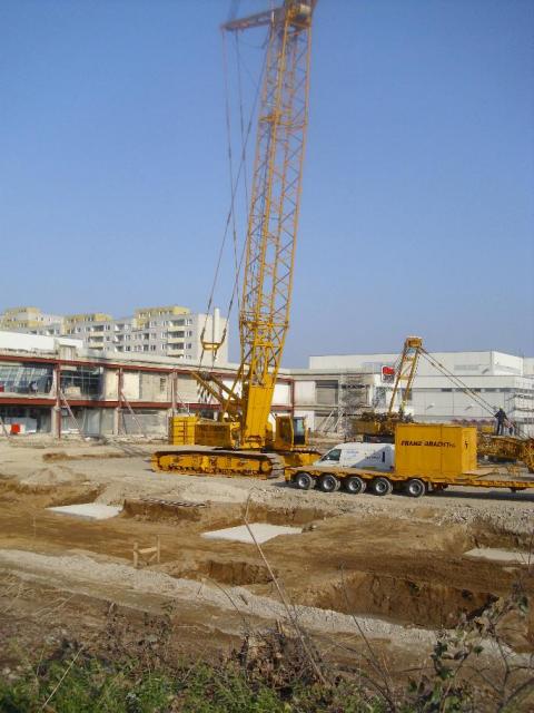 DSCI2537.JPG