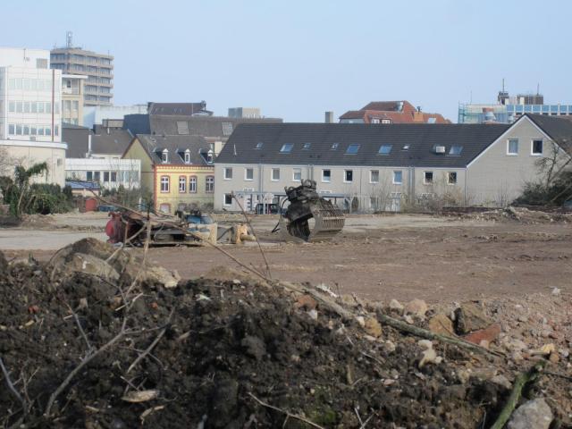 IMG_7655.JPG