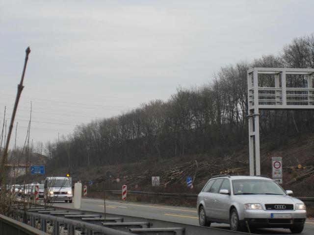 IMG_7852.JPG
