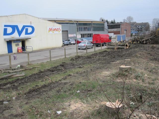 IMG_7854.JPG