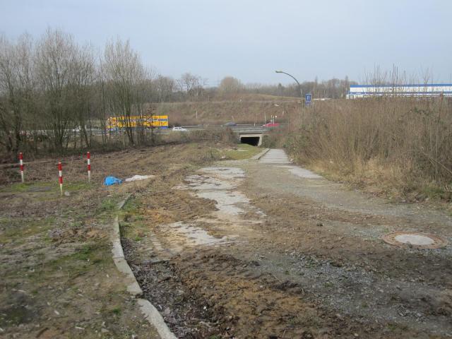 IMG_7872.JPG