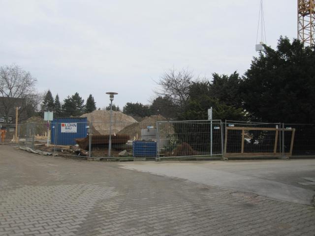 IMG_7804.JPG