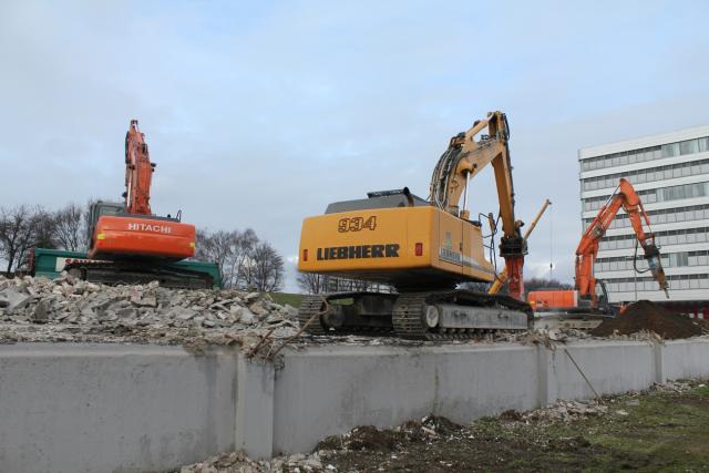 Tiermarkt___135.jpg