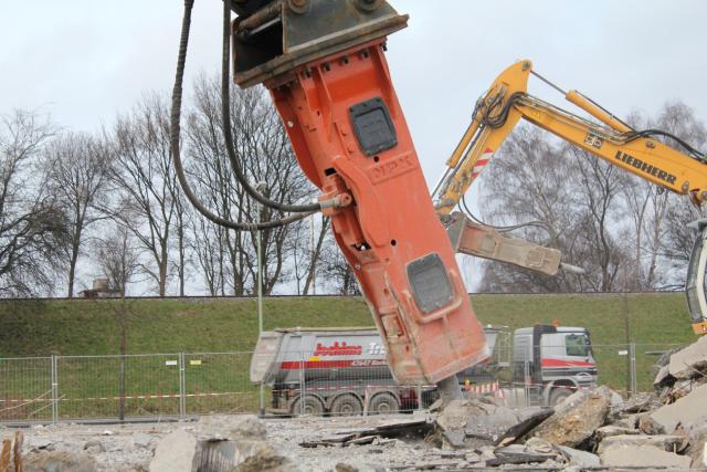 Tiermarkt___148.jpg