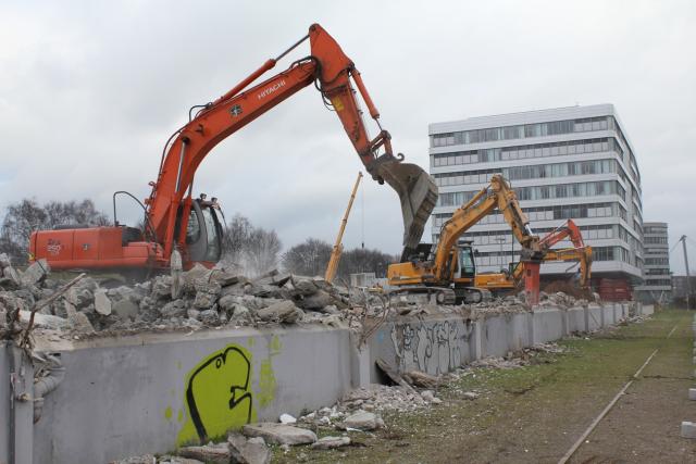 Tiermarkt___165.jpg