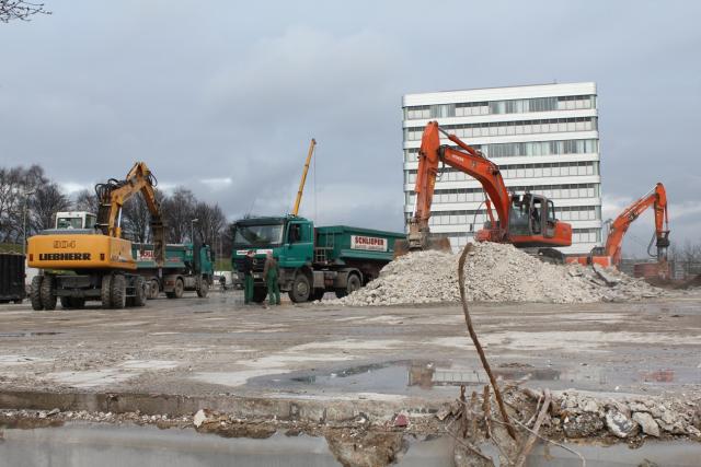 Tiermarkt___144.jpg