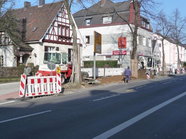 P1150272.jpg