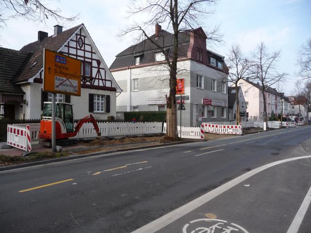 P1150288.jpg