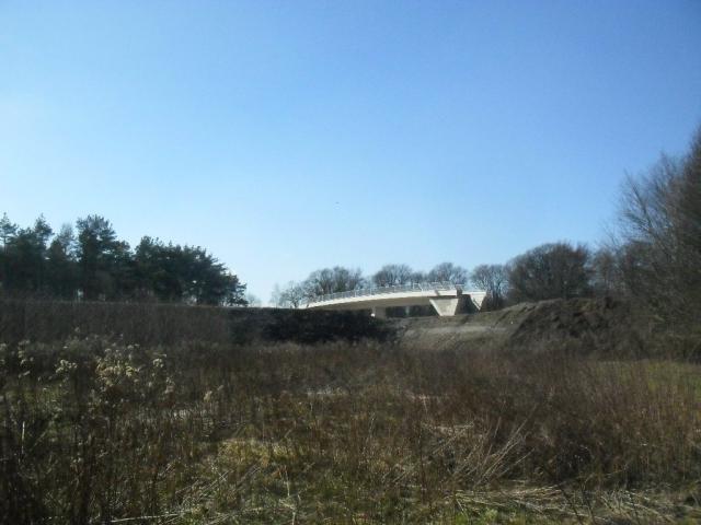 2011/03/post-16228-1299424618_thumb.jpg