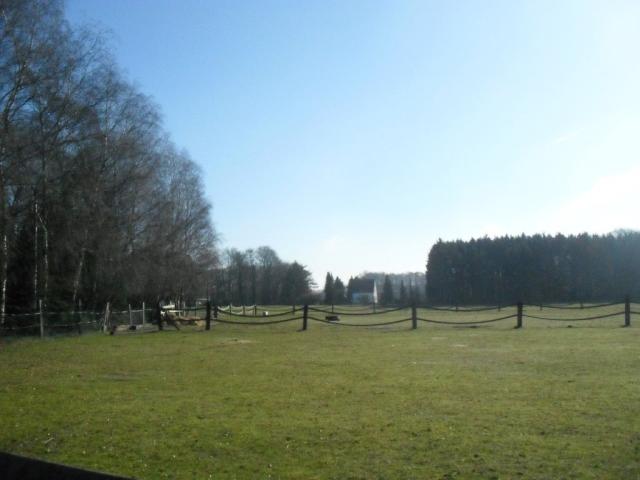 2011/03/post-16228-1299426019_thumb.jpg
