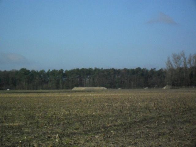 2011/03/post-16228-1299426086_thumb.jpg