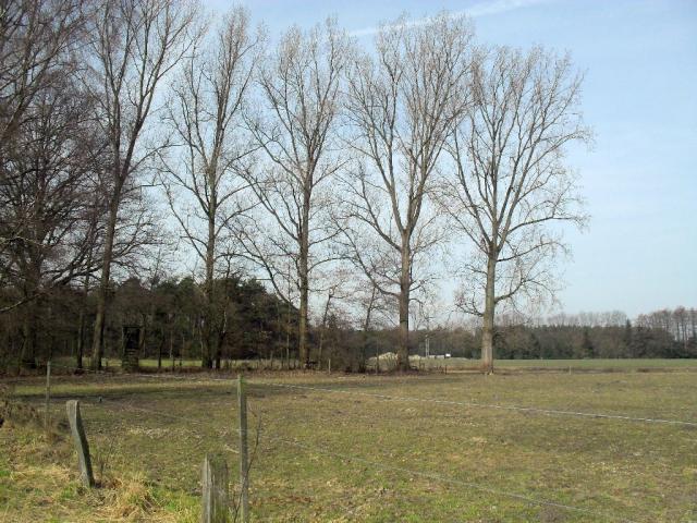2011/03/post-16228-1299933526_thumb.jpg