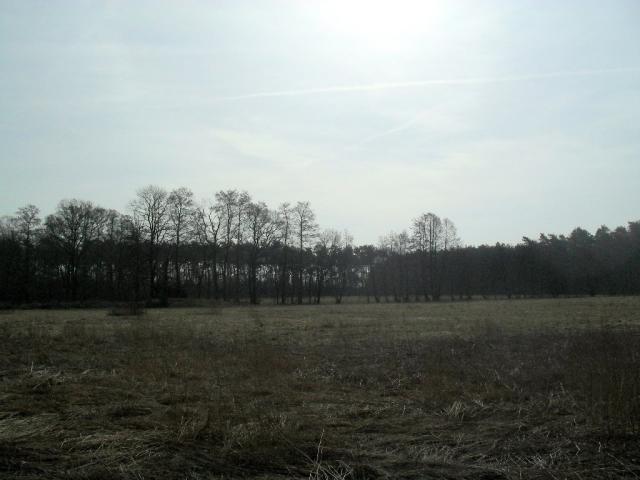 2011/03/post-16228-1299933620_thumb.jpg