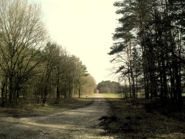 2011/03/post-16228-1299933821_thumb.jpg