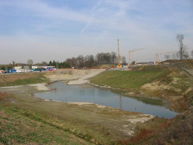 IMG_5536.JPG