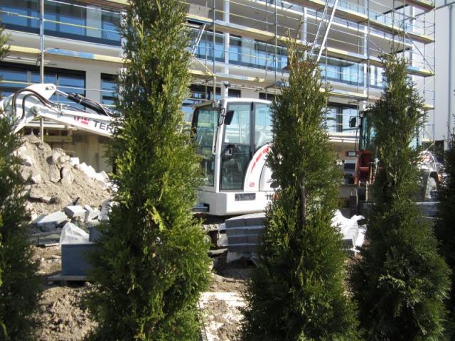 2011/03/post-17369-1299609371_thumb.jpg