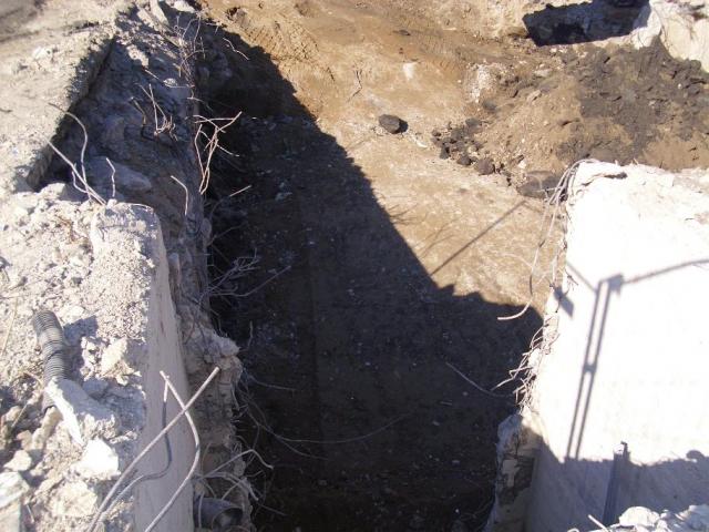2011/03/post-18020-1299516732_thumb.jpg