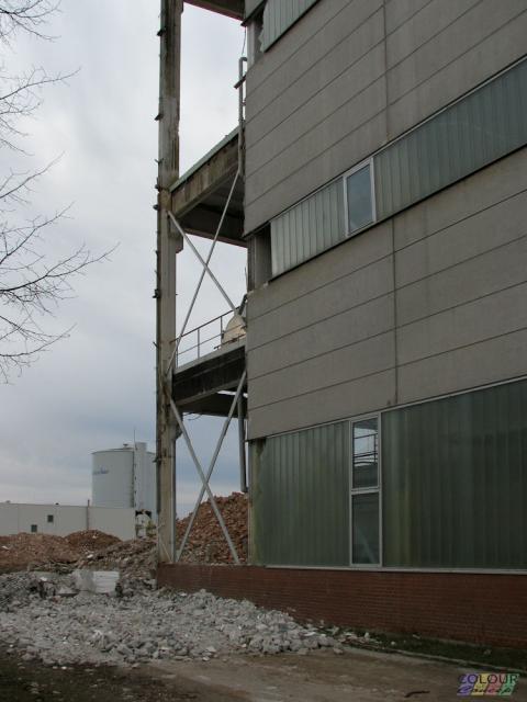 IMG_1923.jpg