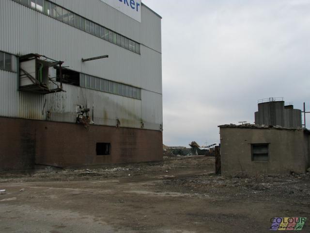 IMG_1920.jpg
