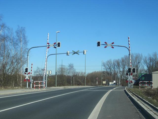 IMG_8386.JPG
