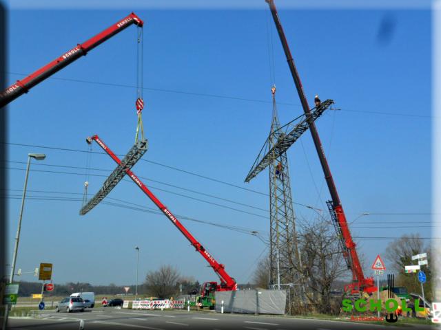 Scholl_018.jpg