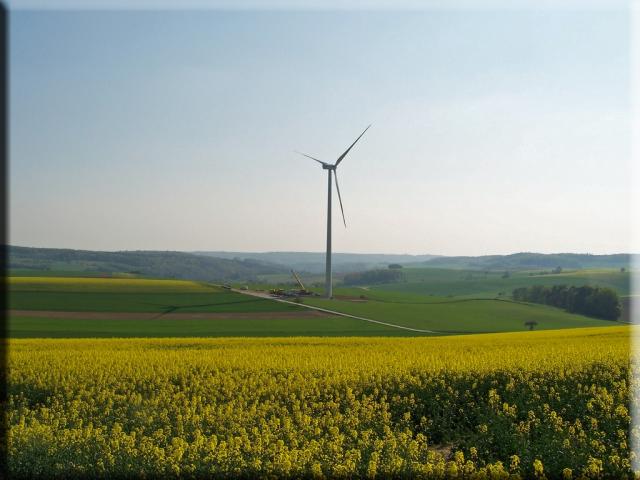 100_7343.jpg
