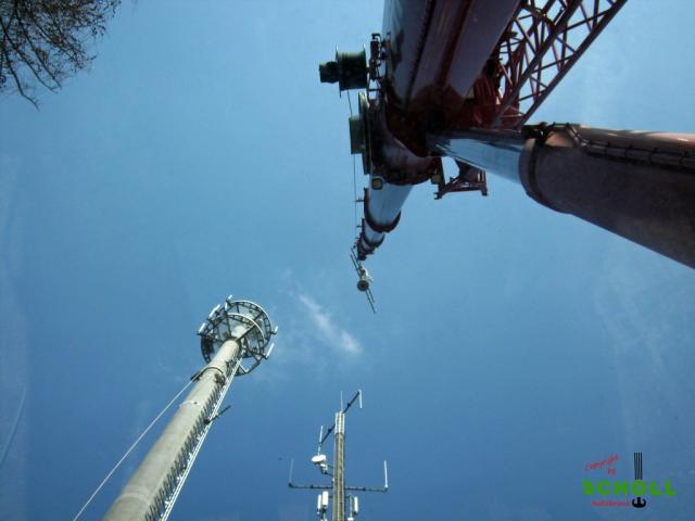 Waibstadt_M_rz_2011_035.JPG