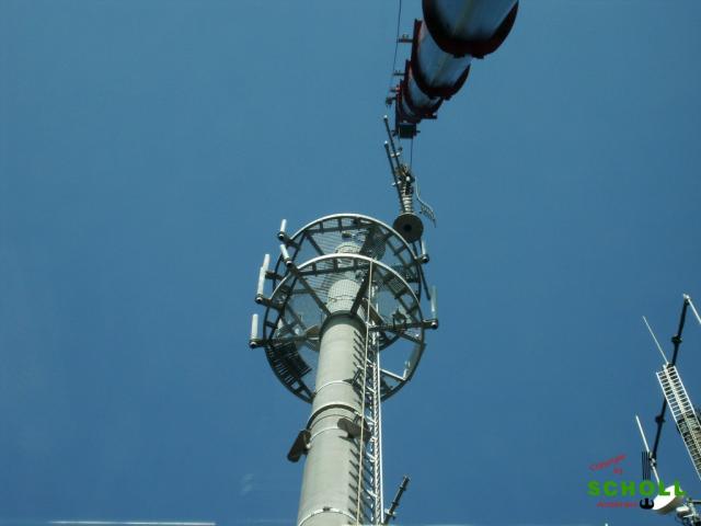 Waibstadt_M_rz_2011_037.JPG