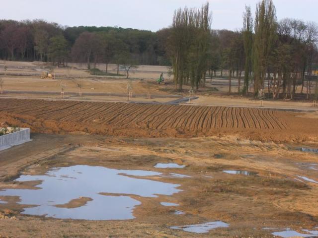 DSCF5320.JPG