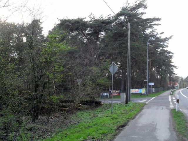 2011/04/post-16228-1301939314_thumb.jpg