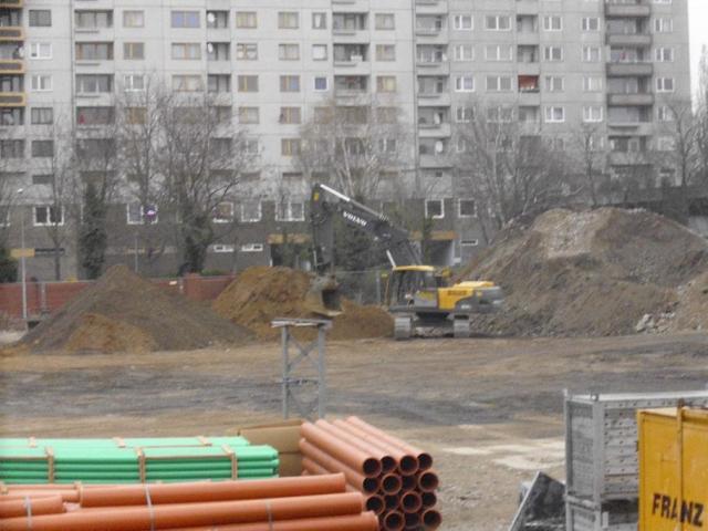 DSCI4154.JPG