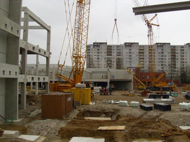 DSCI4337.JPG
