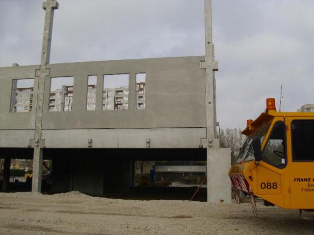 DSCI4378.JPG