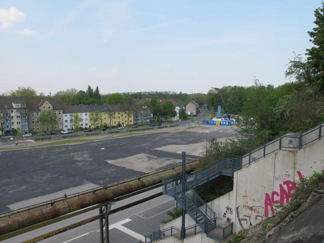 IMG_1113.JPG