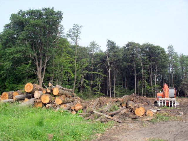 2011/05/post-16228-1305977128_thumb.jpg